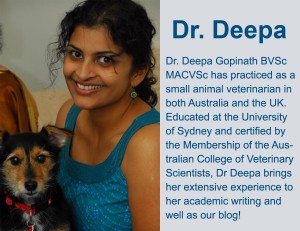 Giving Pets Pills – Risky Business!